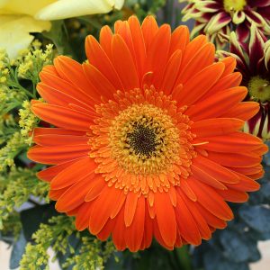 Artistic Product Photography